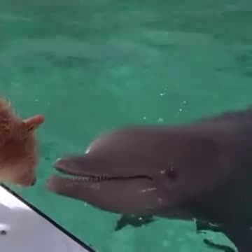 Humanity that people don't have