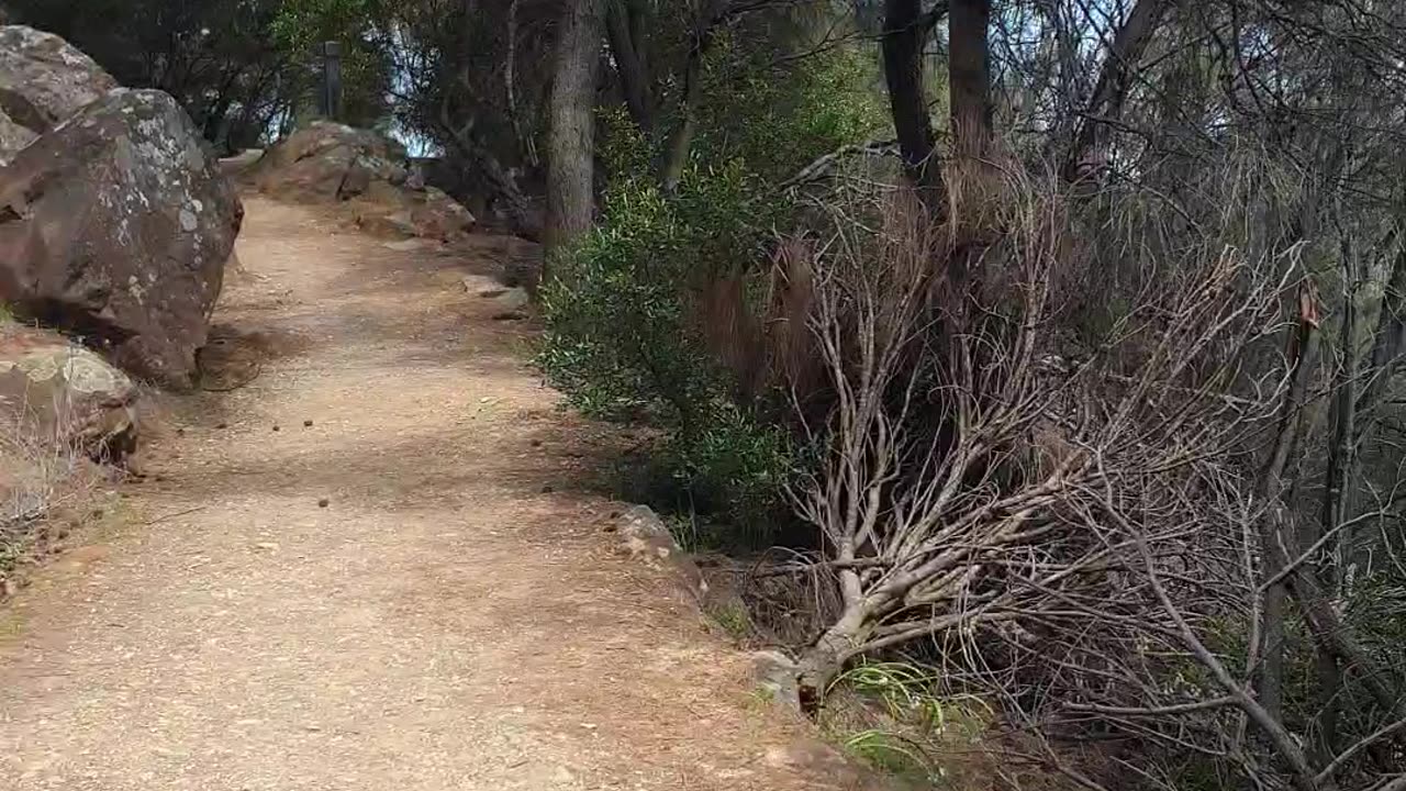 Mountain track