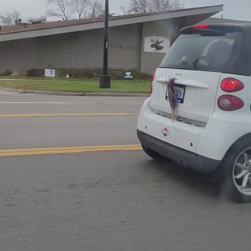 Rare video of unicorn car