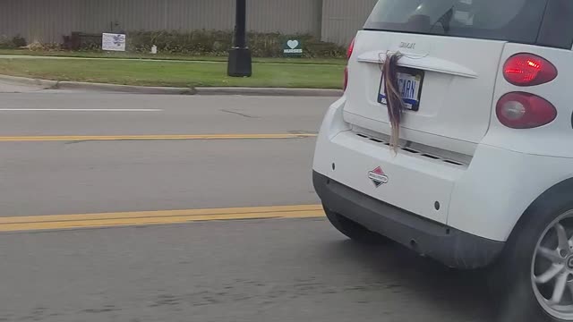 Rare video of unicorn car