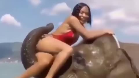 Funny vid: watch as Elephant throws away Model