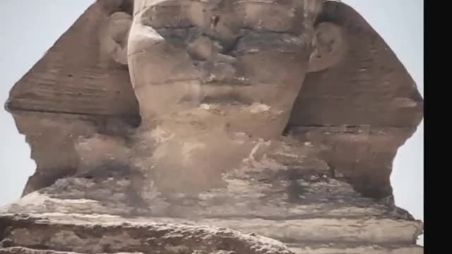 SPHINX CLOSED EYES