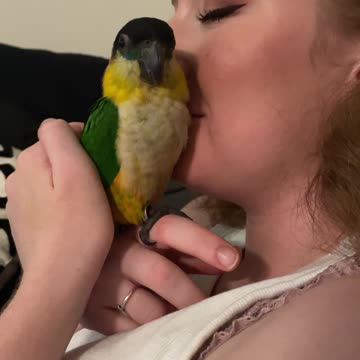 Sniffing your parrot is the best way to relax...