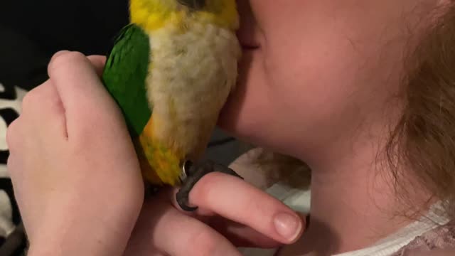 Sniffing your parrot is the best way to relax...