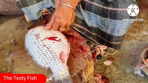 Telapia Fish Cutting by Experts Cutter In BD