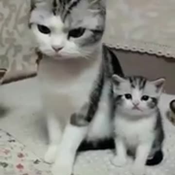 like mother like daughter