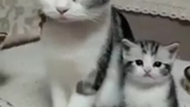 like mother like daughter