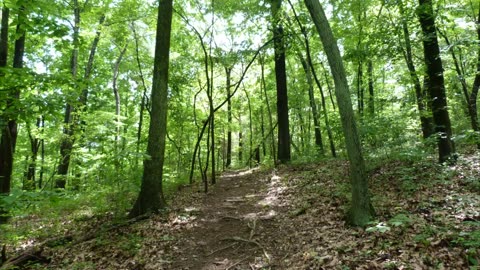 Red Mountain Park. Birmingham, Alabama. Slideshow.