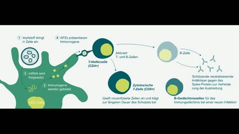 mRNA Impfung - der geplante Massenmord