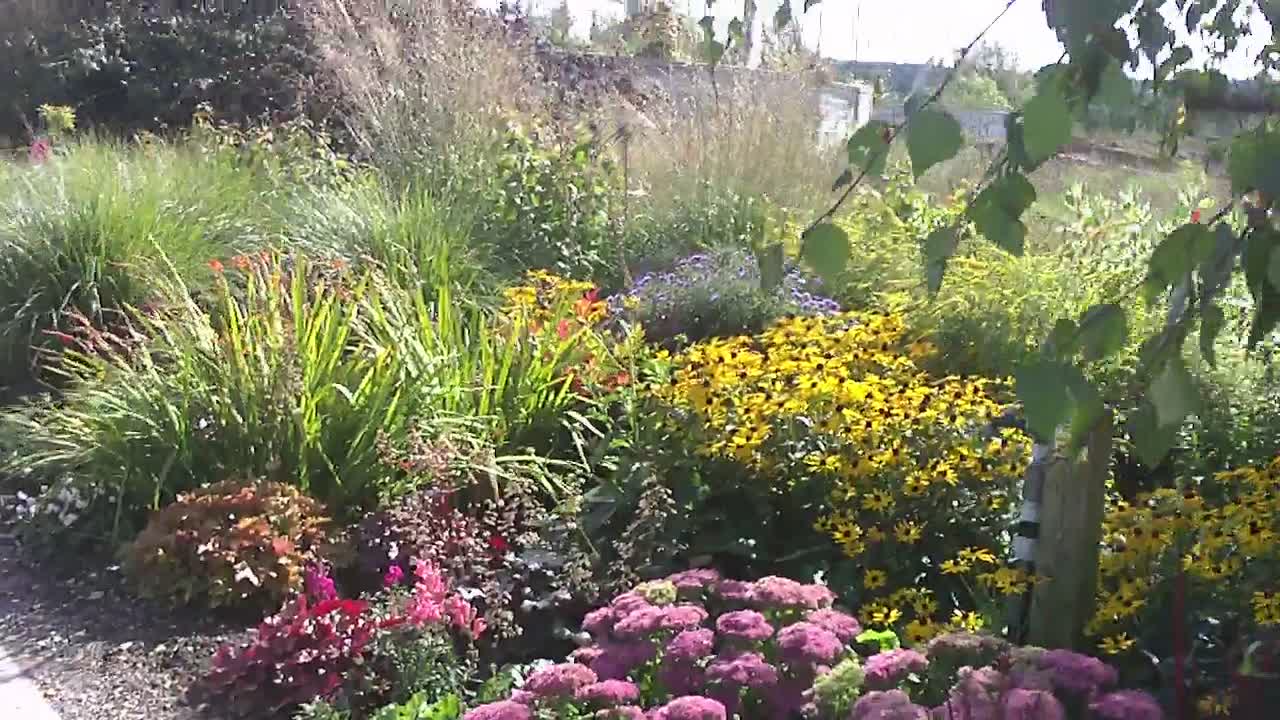 BUTTERFLY FARM