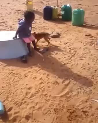 Enough is enough he mean it