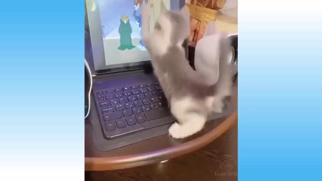 Dubbing funny