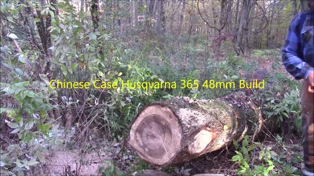 Jonsered cs2165 48mm Build vs. Jonsered 2172 ( Husqvarna 372xp X-Torq) Part 6, A Cookie Cut Timed Trial