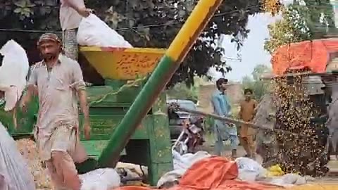 Labour life ... corn processing ...https://youtube.com/@pakistanisairsapatee