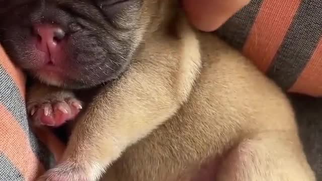 someone who need to see this cutie
