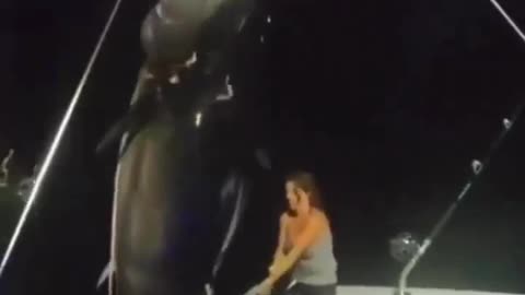 Woman Catches A Behemoth