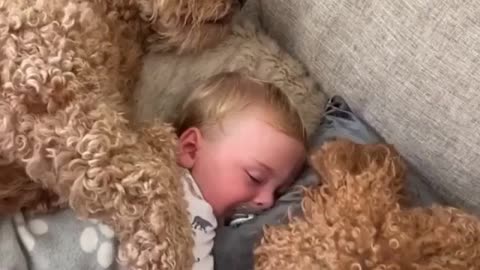 😍😍😍 Beautiful sleeping dogs around the baby 😍😍😍