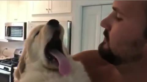Cute Dogs getting a hug by their owners animals compilation 2021 sweet and lovely