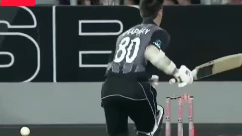 Cricket Information time ..... 😎😃😁😃