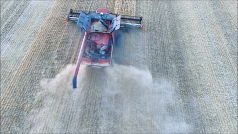 IT'S HARVEST TIME HERE ON THE FARM SHELBY, MONTANA