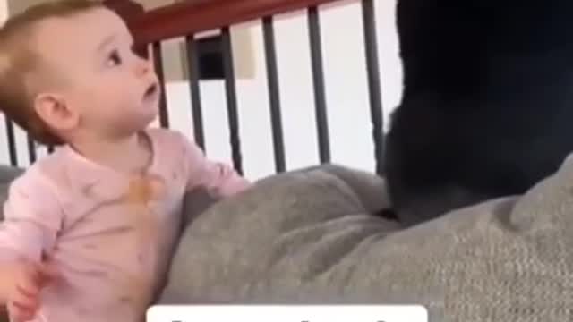 Apreendendo com a vida