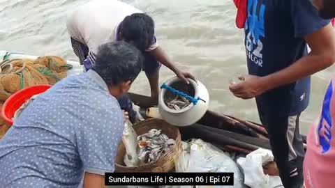 Fishing in Sundarbans