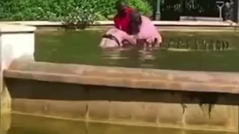 Husband Attempts To Drown Wife In Public Fountain