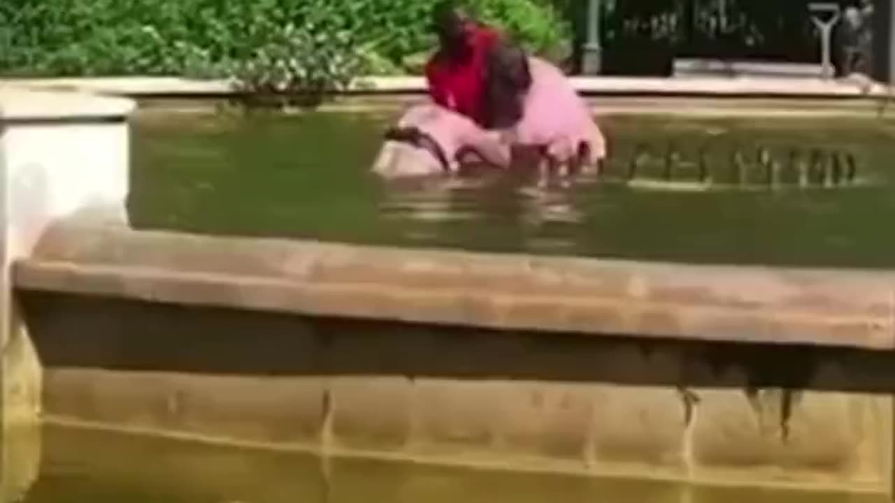 Husband Attempts To Drown Wife In Public Fountain