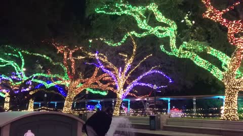 Houston Zoo lights 2021 January