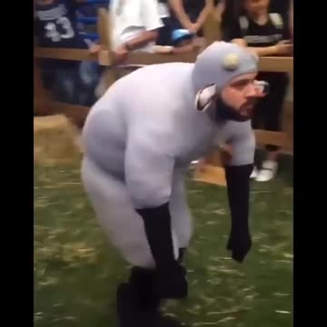 sheep to their boosters