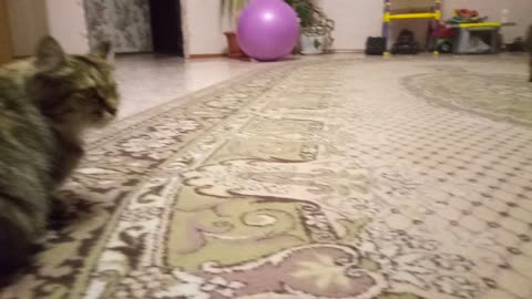not happy girlfriend