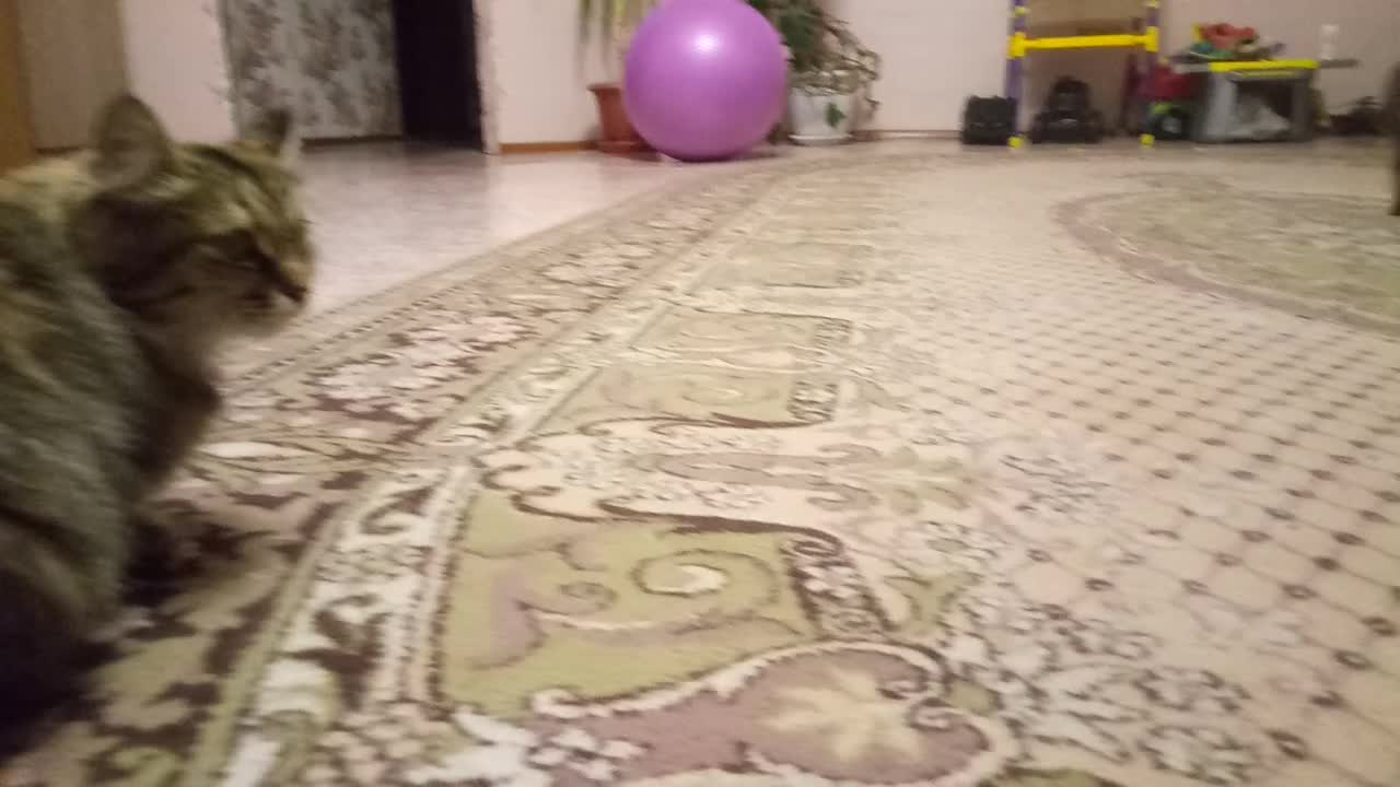 not happy girlfriend
