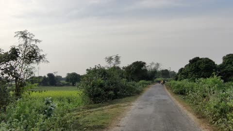 Village road ,