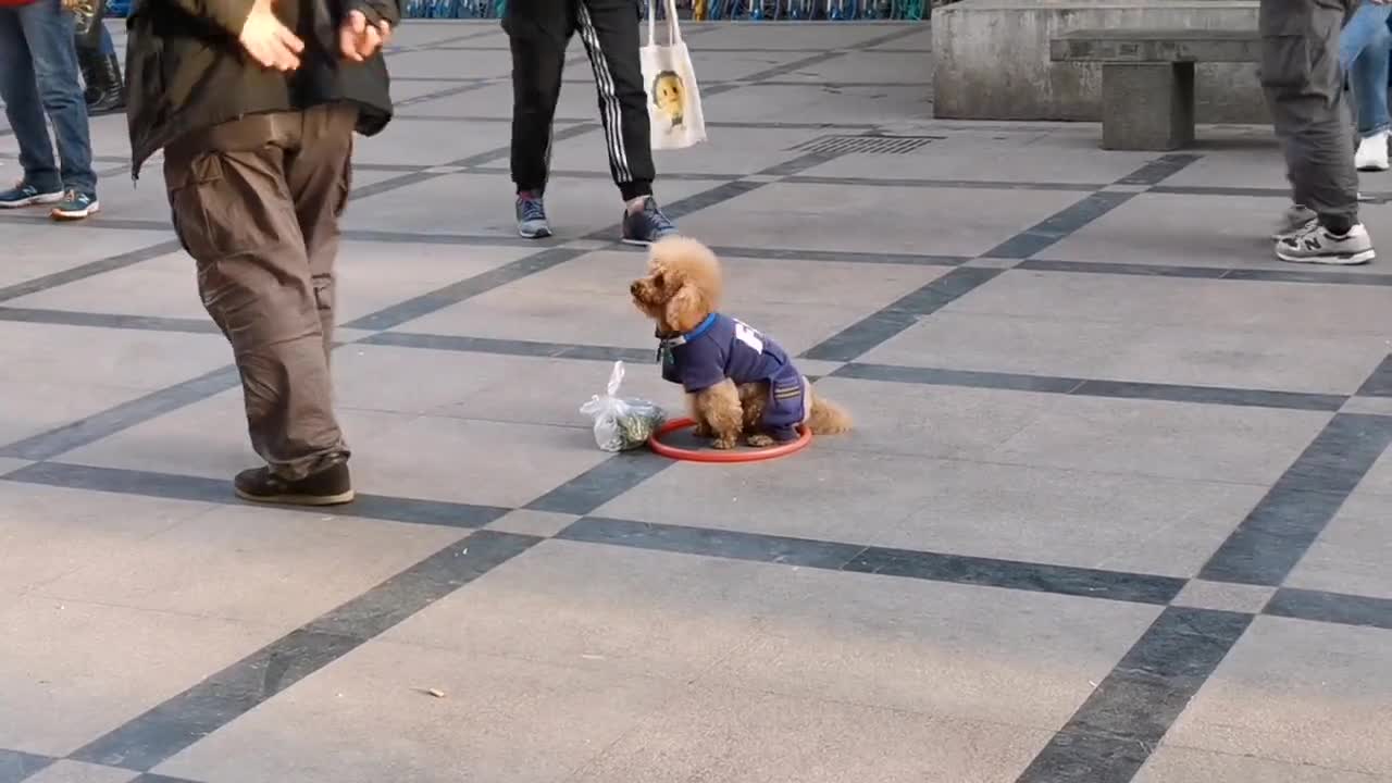 Grandpa and his dog