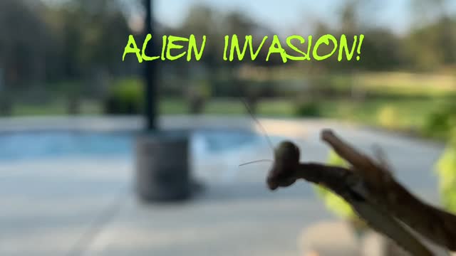 ALIEN INVASION!