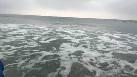 Playing in the waves