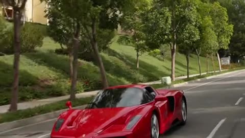 The Enzo Ferrari