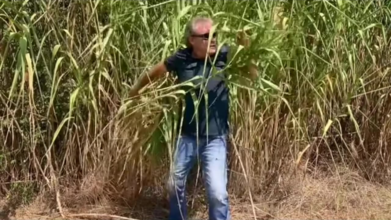 “Lookin’ for Candidates in fields .. as seen on their Postcards”