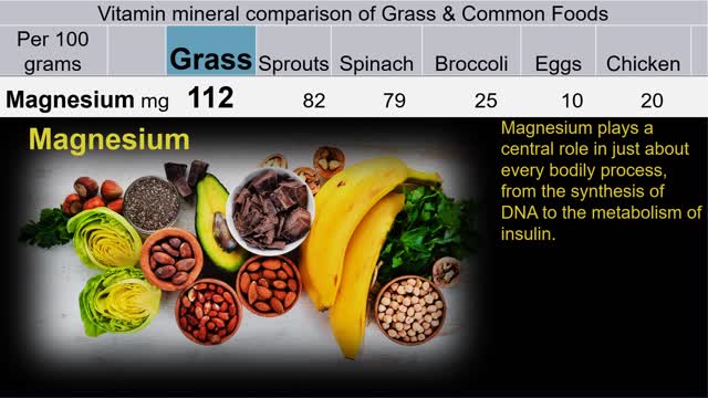 WHEATGRASS SUPERIOR TO ALL OTHER POWER FOODS