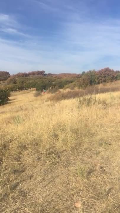 2016 Ridgeline Trail Races 12K