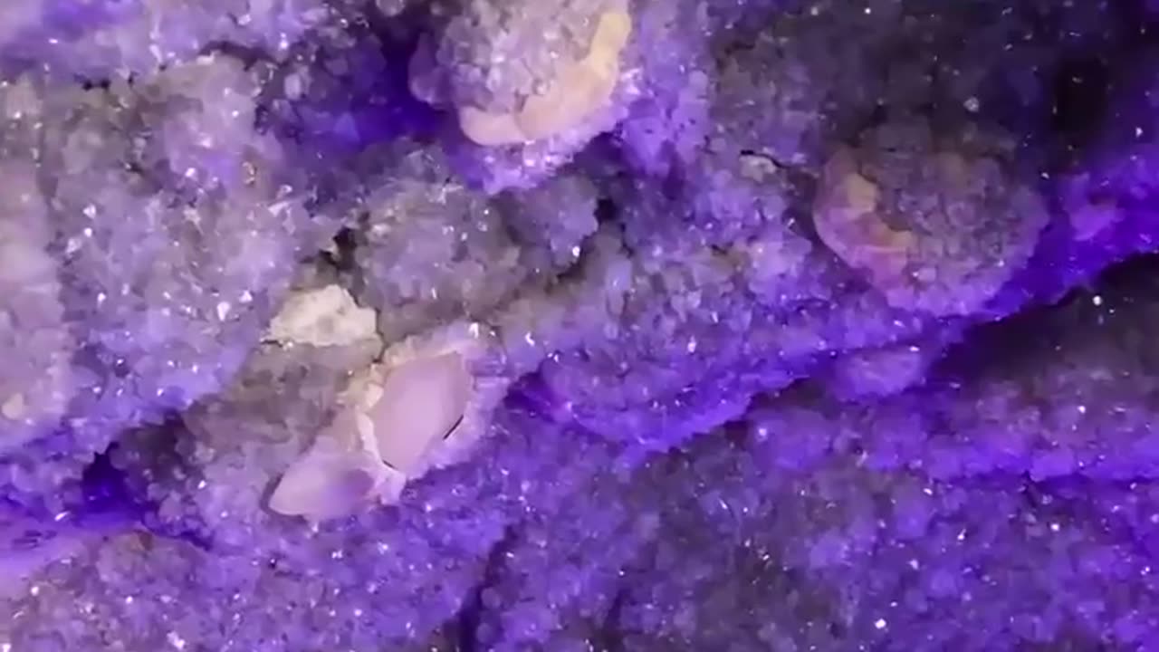 Largest Intact Amethyst Cave