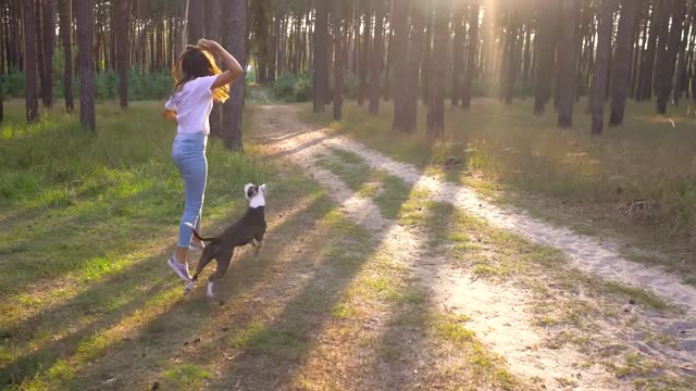 The dog playing with the girl is awesome funny