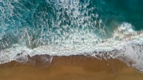 like though alive, the magnificence of the waves on the beach