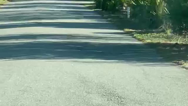 2022 Turkey Season: “That’s aggravating.”