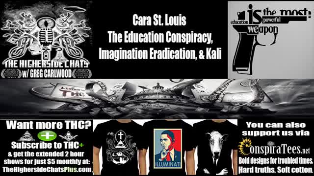 Cara St Louis: The Education System and Kali