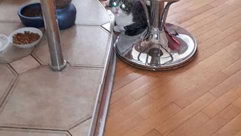 lived on the street for a year