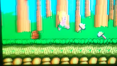 Wonder boy jogo master sistem