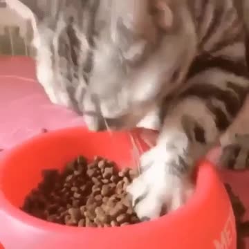 I don’t know how to do it any other way