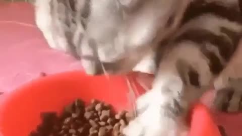 I don’t know how to do it any other way
