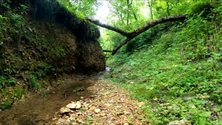 Hidden Creek in the Ozarks